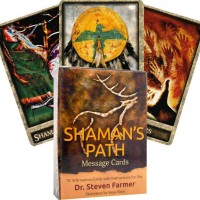 Shamans Path Message Kortos